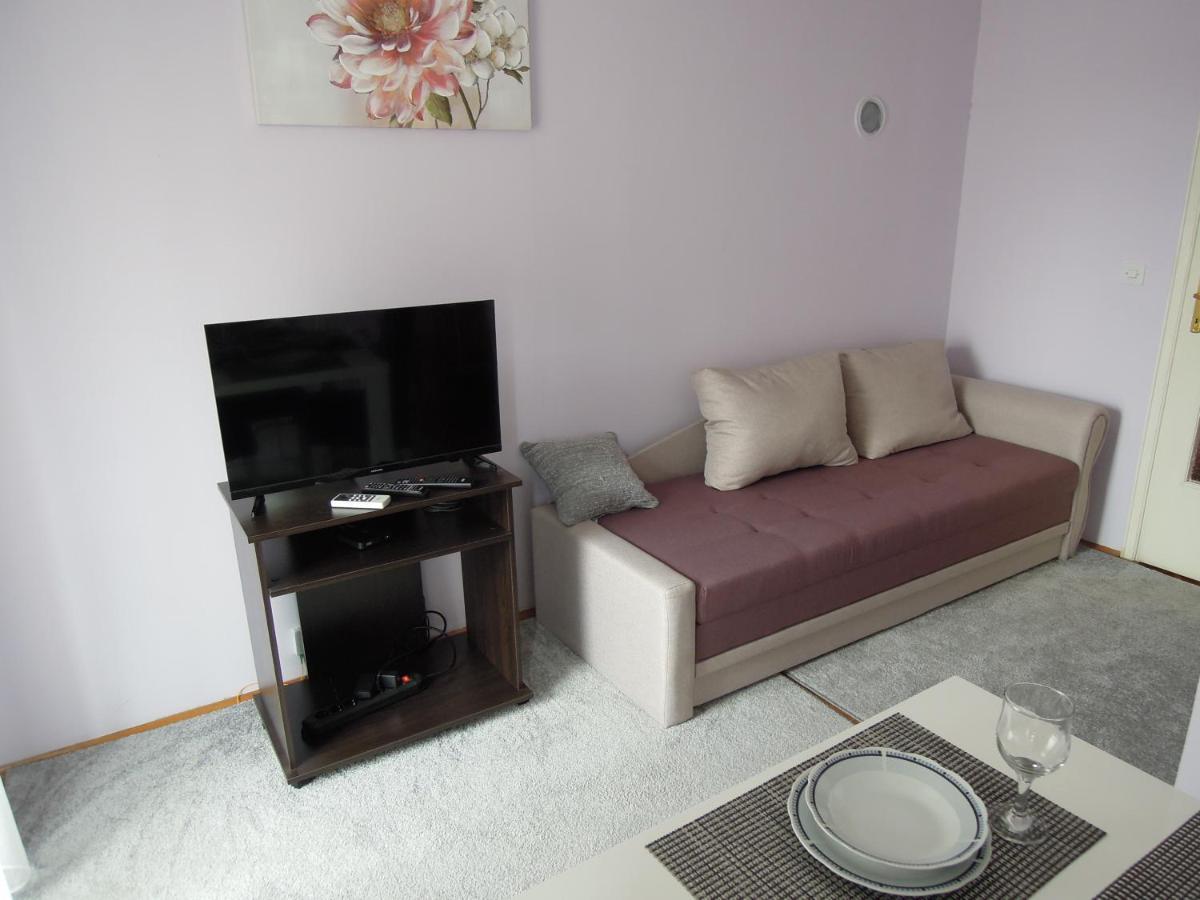 Classic Apartment نوفي ساد المظهر الخارجي الصورة